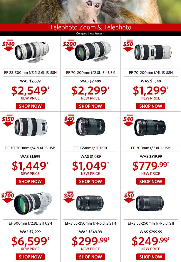 Reducing the cost of a number of Canon lenses 