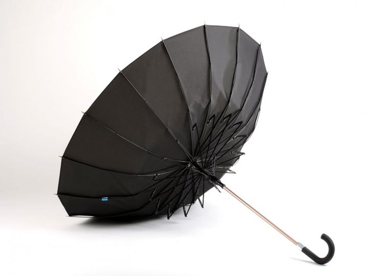 Kisha is modern and more clever than your ordinary umbrella