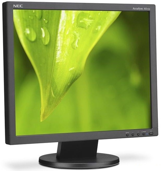 nec-released-budget-19-ips-monitor-accusync-as193i-raqwe.com-01