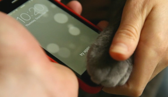 fingerprint-scanner-iphone-5s-recognizes-paw-prints-cats-raqwe.com-01
