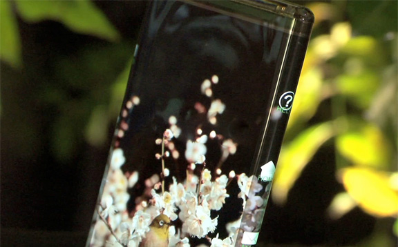 japanese-developed-oled-display-wrapped-smartphone-video-raqwe.com-01