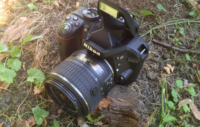 Review Nikon D3300