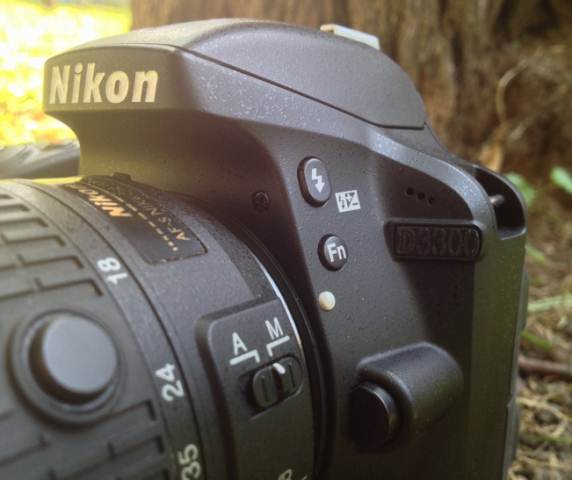 Review Nikon D3300