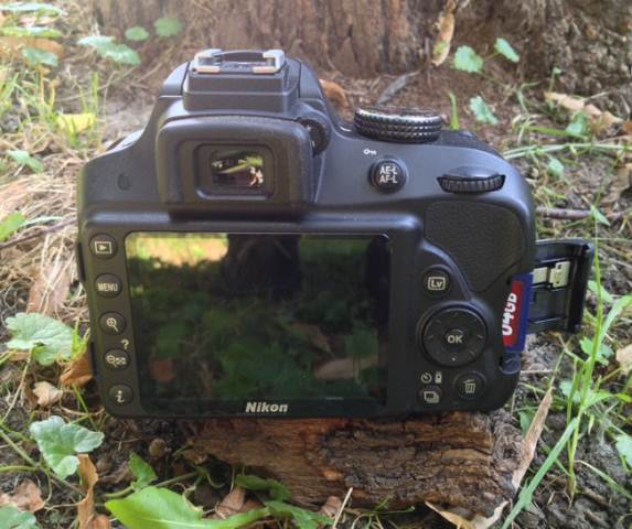 Review Nikon D3300