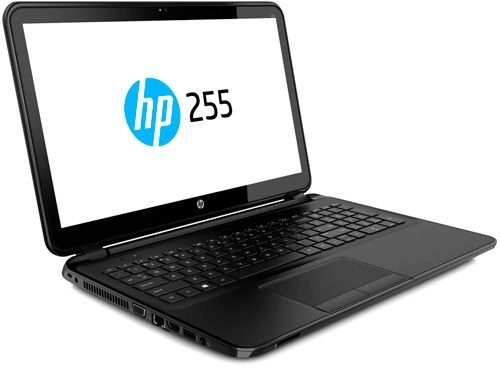 HP 255 G2 review - inexpensive fun