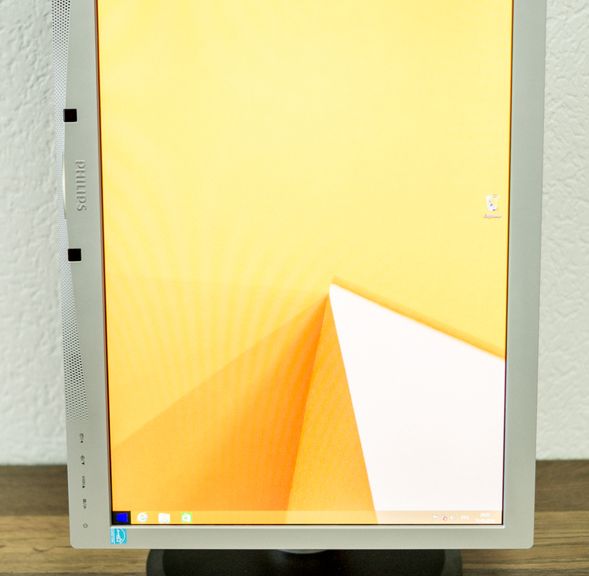 Review of the Monitor Philips Brilliance 231P