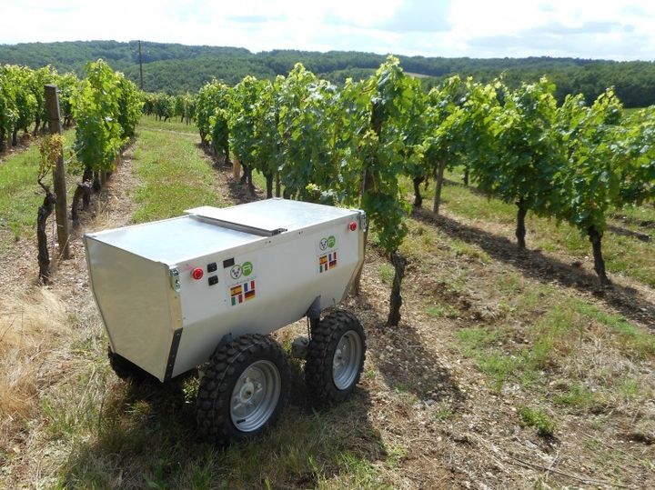 VineRobot: robot winemaker