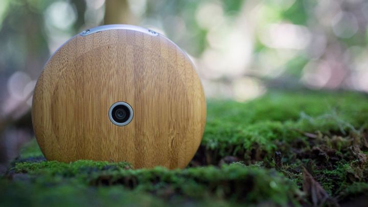 When your new anti-smartphone-round, wooden and Firefox OS