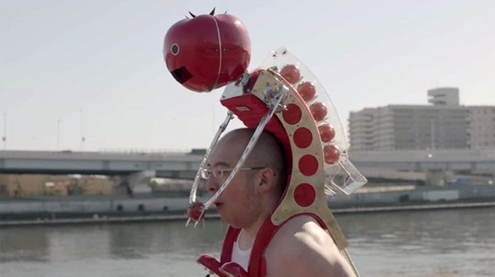 Tomatan - new robot feeding tomatoes owner