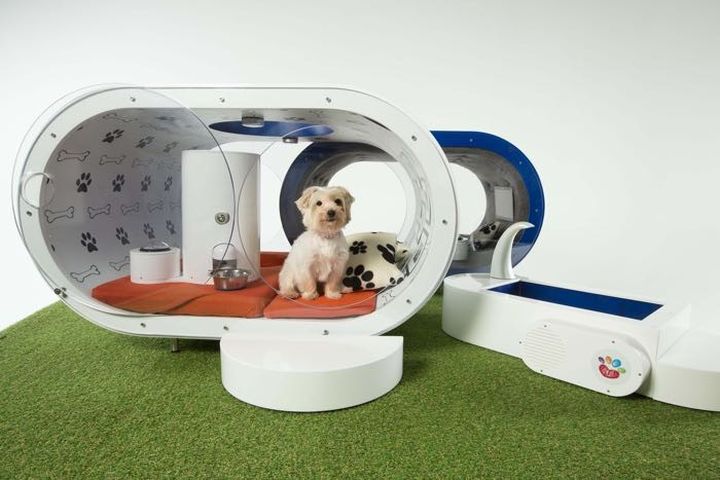 Dream Dog House: new luxury doghouse from Samsung