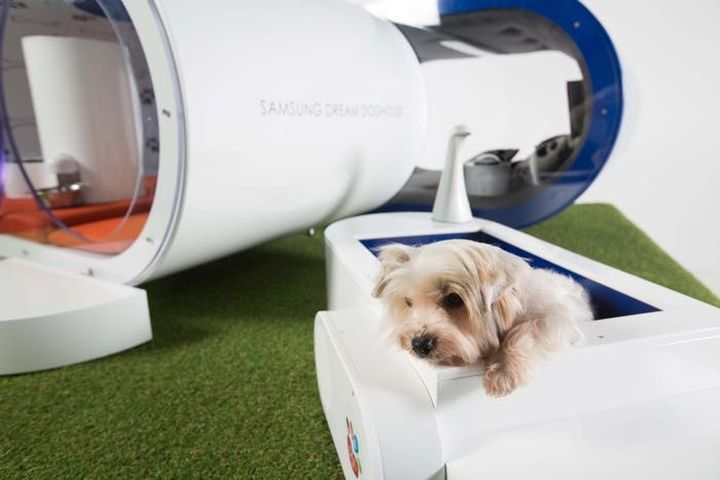 Dream Dog House: new luxury doghouse from Samsung