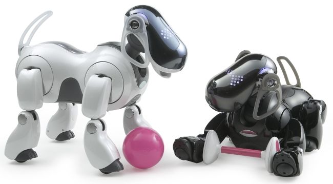 The most interesting robot toys modernity