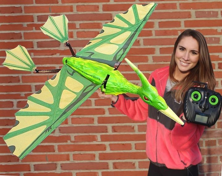 Appeared on Kickstarter RC pterodactyl