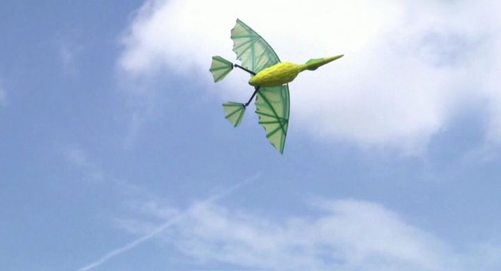 Appeared on Kickstarter RC pterodactyl