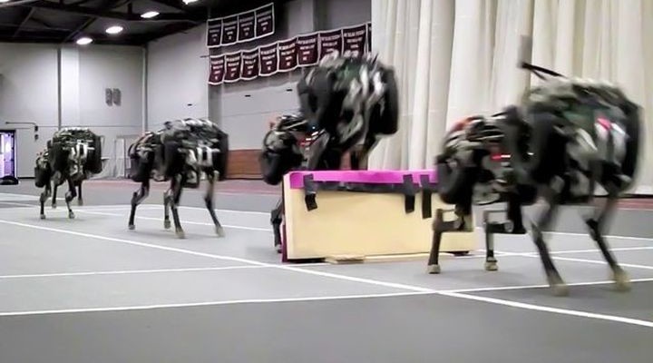 Cheetah robot learned to jump over obstacles