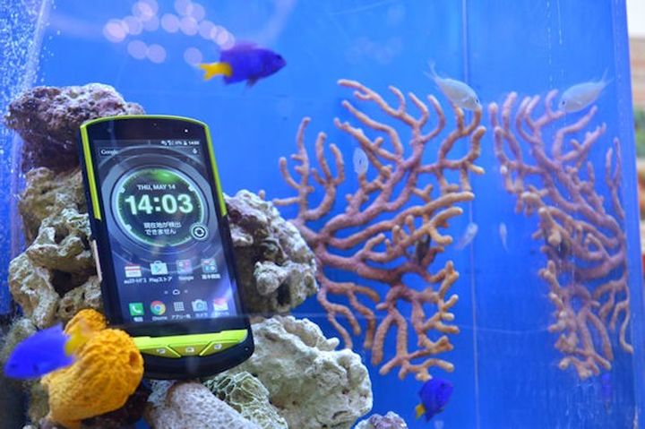 Kyocera Torque G02 works even in seawater