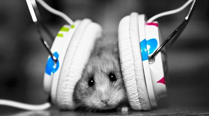 Top 5 unusual headphones that may surprise you